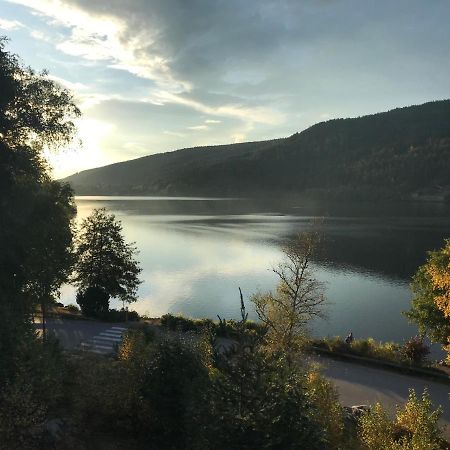 Le Duplex Daire Gérardmer Dış mekan fotoğraf